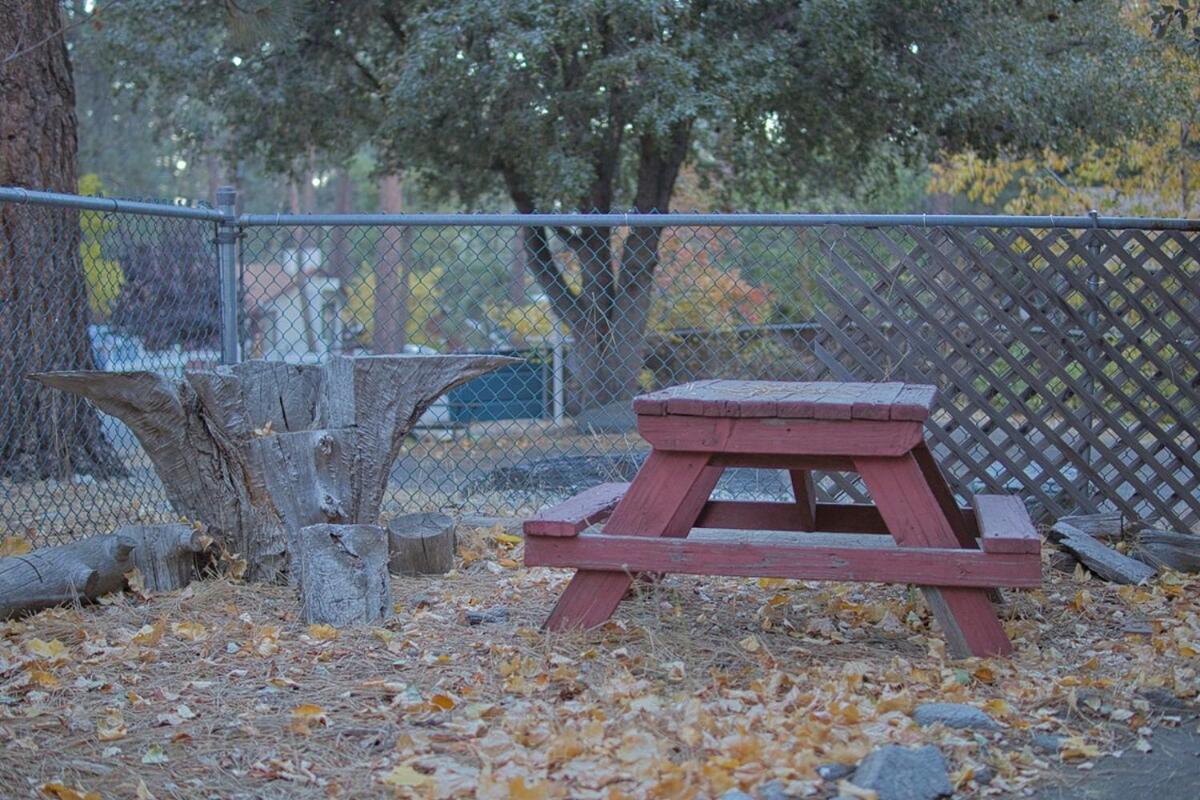 Ray'S Dear Cottage Wrightwood Kültér fotó